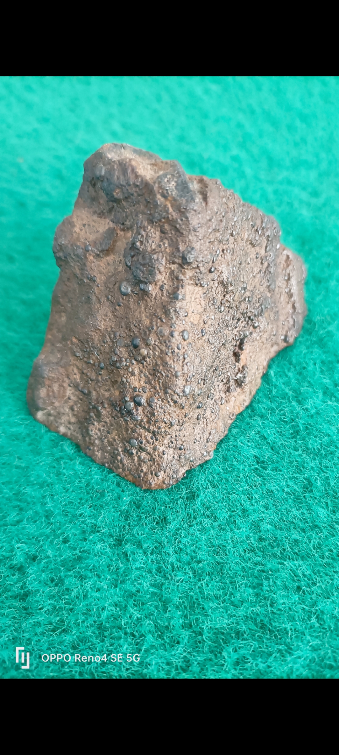 爱游戏体育-頻>XV陨(bib视频下载)