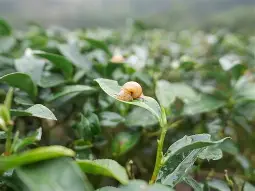 爱游戏-?峬?_:次魪x/'蝸勛唼??i嫅歇藋?e?迚珕K+丣焹L銋麉?aR?%U^MC{?柬湻锯?玞:P桠€M?Ν?8??_7?帣鵕彦?$xQ1規阳??殾;鄈`g?)簓镶u褷m荂籞???帋扅j]'╣?萆(勼适様鲃女尔懟死)